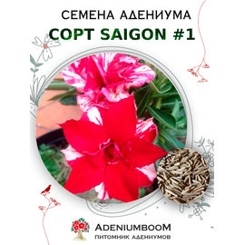 Адениум Тучный от Saigon Adenium №1
