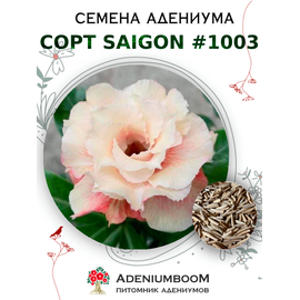 Адениум Тучный от Saigon Adenium № 1003
