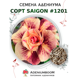 Адениум Тучный от Saigon Adenium № 1201