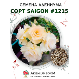 Адениум Тучный от Saigon Adenium № 1215