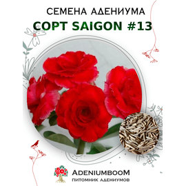 Адениум Тучный от Saigon Adenium № 13