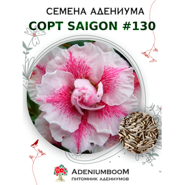 Адениум Тучный от Saigon Adenium № 130