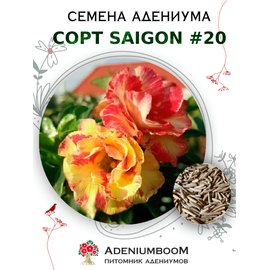 Адениум Тучный от Saigon Adenium № 20