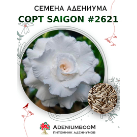 Адениум Тучный от Saigon Adenium № 2621