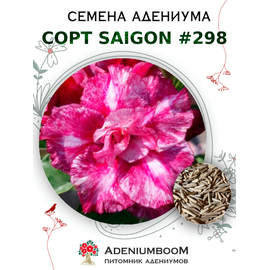Адениум Тучный от Saigon Adenium № 298