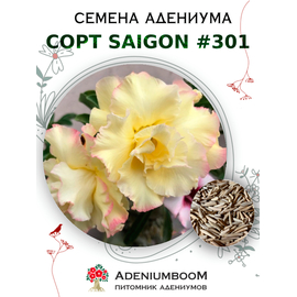 Адениум Тучный от Saigon Adenium № 301