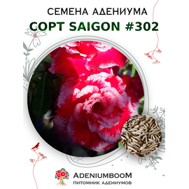 Адениум Тучный от Saigon Adenium № 302