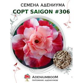Адениум Тучный от Saigon Adenium № 306