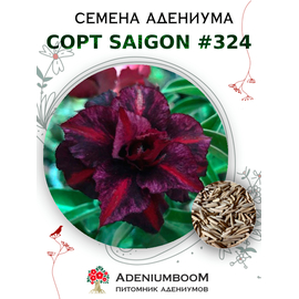 Адениум Тучный от Saigon Adenium № 324