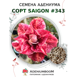 Адениум Тучный от Saigon Adenium № 343