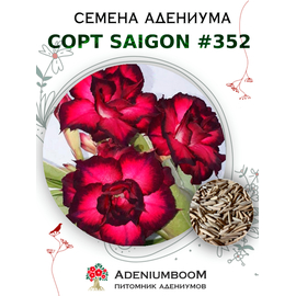 Адениум Тучный от Saigon Adenium № 352