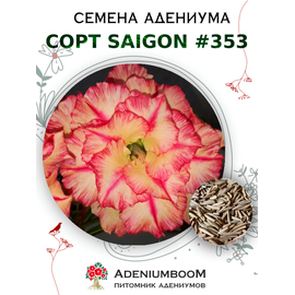 Адениум Тучный от Saigon Adenium № 353