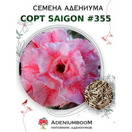 Адениум Тучный от Saigon Adenium № 355