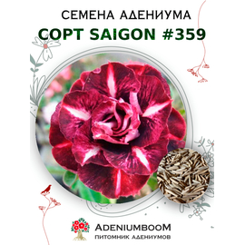Адениум Тучный от Saigon Adenium № 359