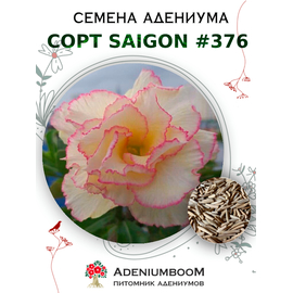 Адениум Тучный от Saigon Adenium № 376