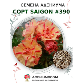 Адениум Тучный от Saigon Adenium № 390