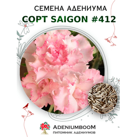 Адениум Тучный от Saigon Adenium № 412