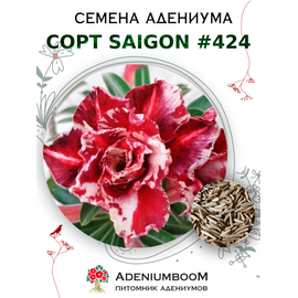 Адениум Тучный от Saigon Adenium № 424