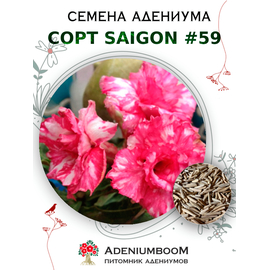 Адениум Тучный от Saigon Adenium № 59