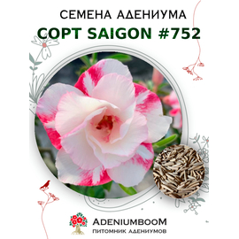 Адениум Тучный от Saigon Adenium № 752