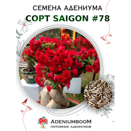 Адениум Тучный от Saigon Adenium № 78