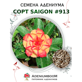 Адениум Тучный от Saigon Adenium № 913