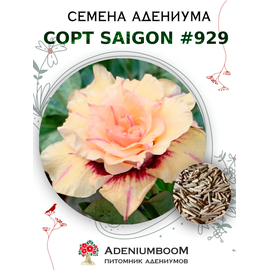 Адениум Тучный от Saigon Adenium № 929