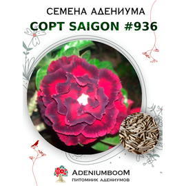 Адениум Тучный от Saigon Adenium № 936