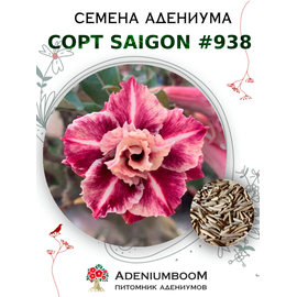 Адениум Тучный от Saigon Adenium № 938