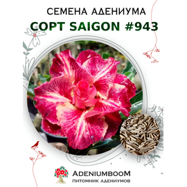 Адениум Тучный от Saigon Adenium № 943