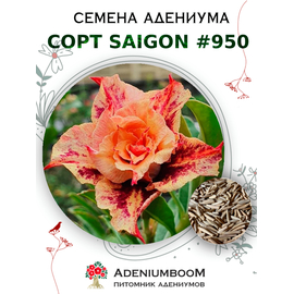 Адениум Тучный от Saigon Adenium № 950