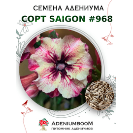 Адениум Тучный от Saigon Adenium № 968