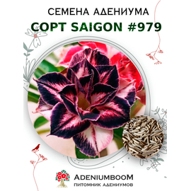Адениум Тучный от Saigon Adenium № 979