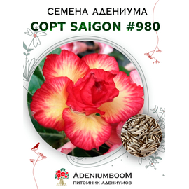 Адениум Тучный от Saigon Adenium № 980