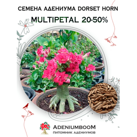 Адениум Dorset Horn 80-90% Multipetal 20-50%