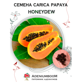 Carica Papaya Honeydew (Папайя Honeydew, Дынное дерево)