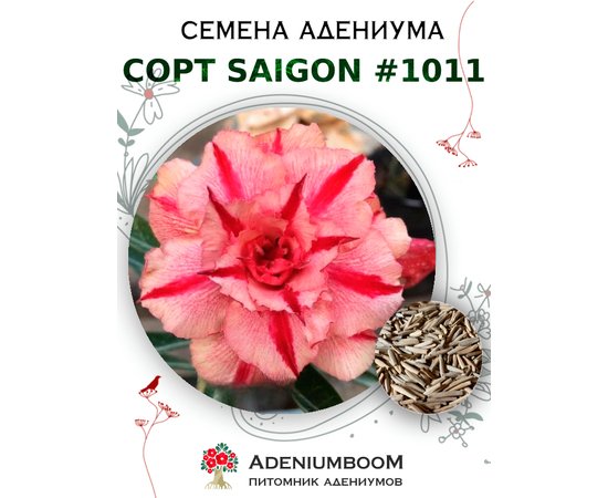 Адениум Тучный от Saigon Adenium № 1011