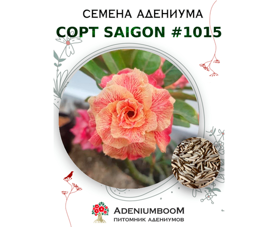 Адениум Тучный от Saigon Adenium № 1015