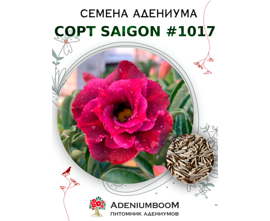 Адениум Тучный от Saigon Adenium № 1017