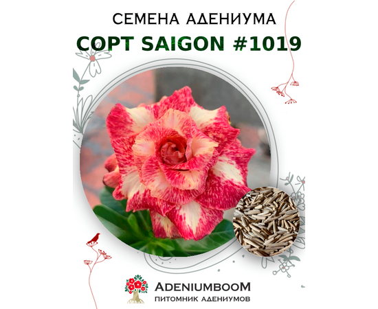 Адениум Тучный от Saigon Adenium № 1019