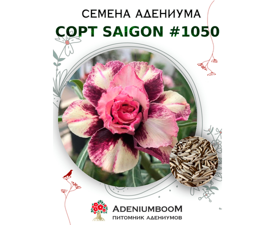 Адениум Тучный от Saigon Adenium № 1050