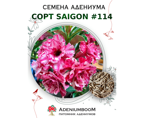 Адениум Тучный от Saigon Adenium № 114