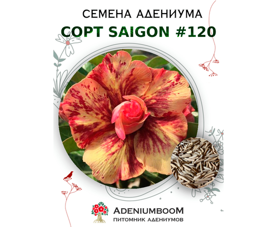 Адениум Тучный от Saigon Adenium № 120