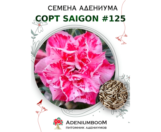 Адениум Тучный от Saigon Adenium № 125