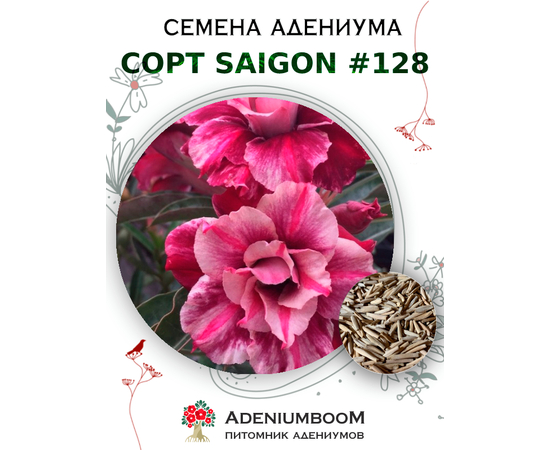 Адениум Тучный от Saigon Adenium № 128