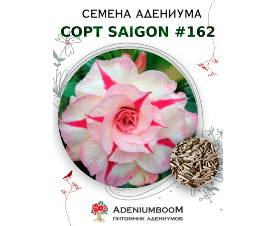 Адениум Тучный от Saigon Adenium № 162