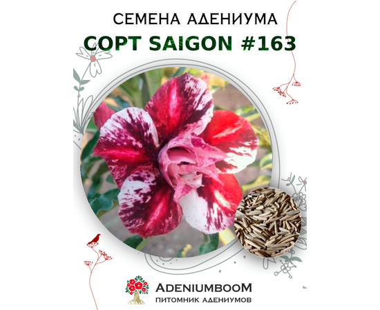 Адениум Тучный от Saigon Adenium № 163