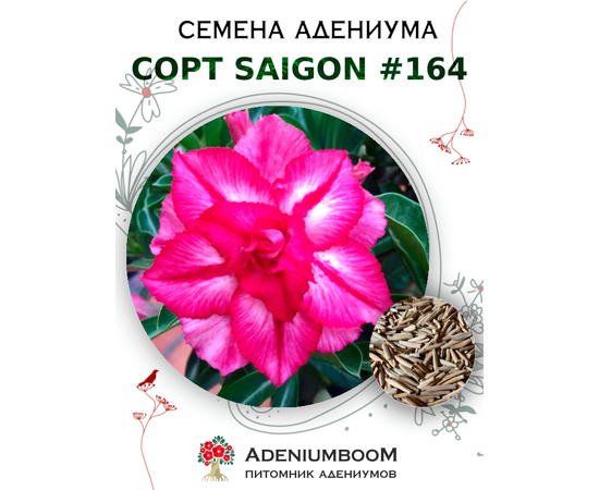 Адениум Тучный от Saigon Adenium № 164
