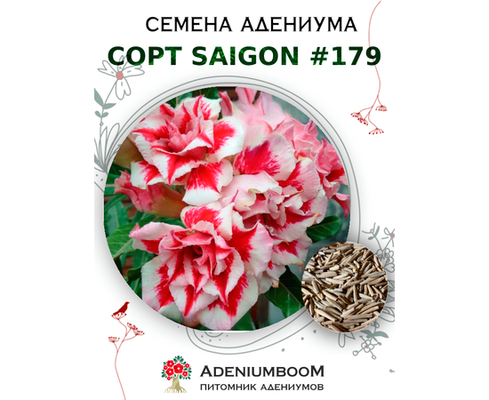 Адениум Тучный от Saigon Adenium № 179