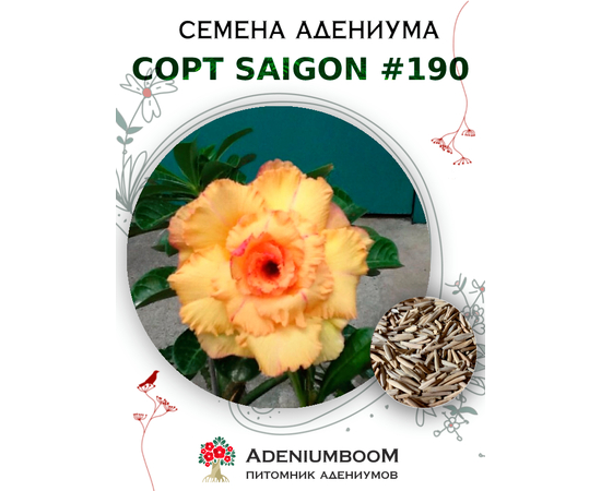 Адениум Тучный от Saigon Adenium № 190
